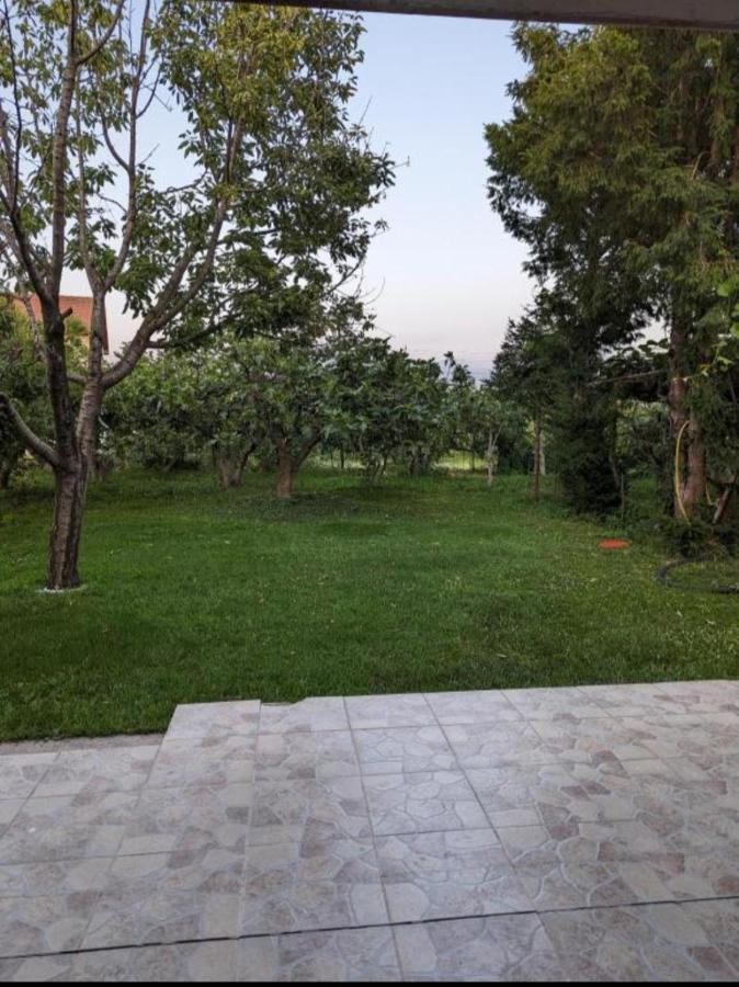 Apartment Filipovic Podgorica Bagian luar foto