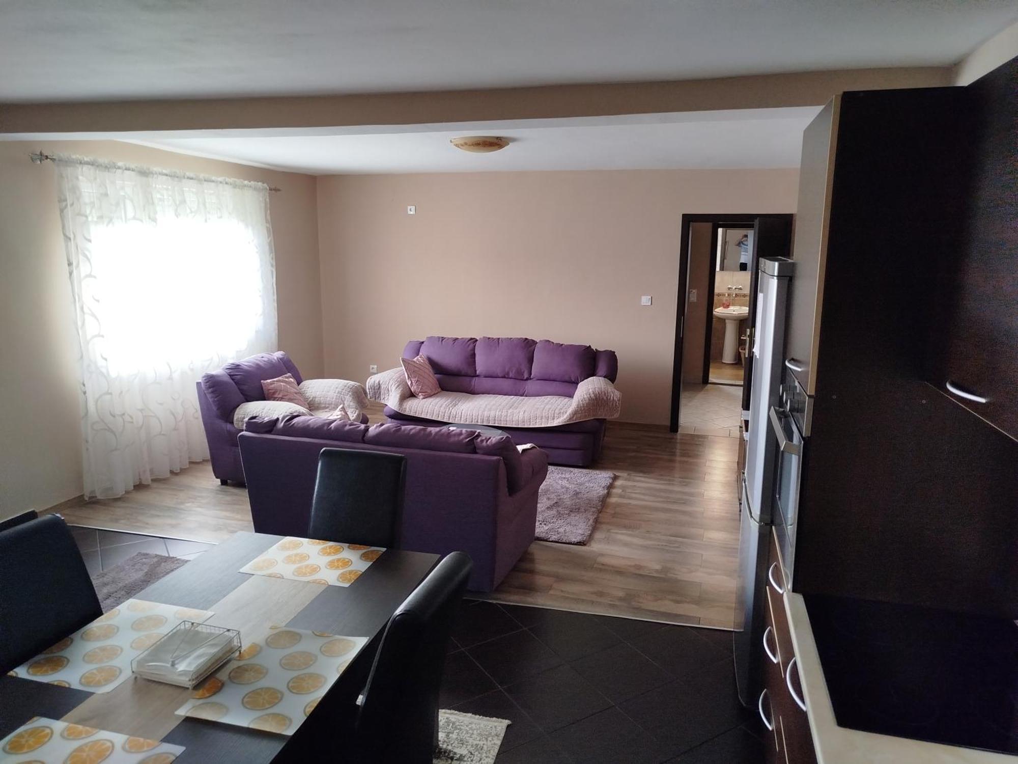 Apartment Filipovic Podgorica Bagian luar foto